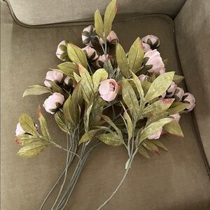 Viral Ashland Peony Stems - tan but look pink